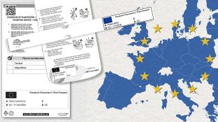 phytosanitary passport